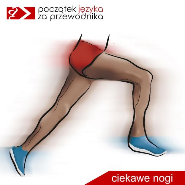 wyrażenie CIEKAWE NOGI: nogi biegnącej osoby; w czerwonych krótkich spodenkach i jasnoniebieskich butach
