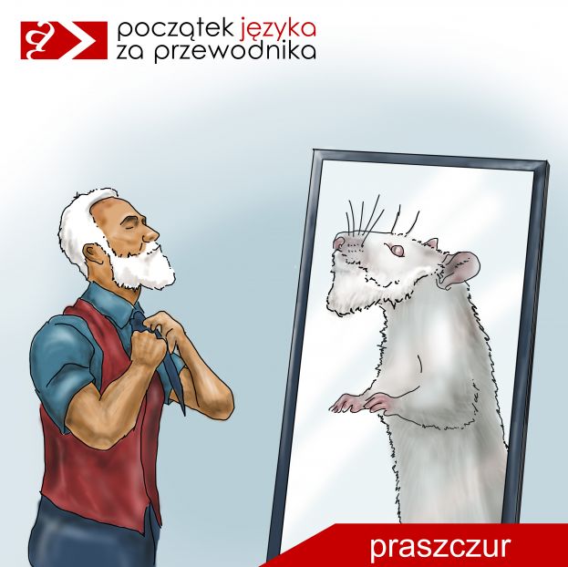 wyrażenie PRASZCZUR: mężczyzna z białą broda i białymi włosami przed lustrem zawiązuje krawat; w lustrze widać stojącego na dwóch łapach szczura wielkości człowieka;